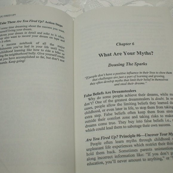 Are You Fired Up MOTIVATION book - Picture 2 of 6